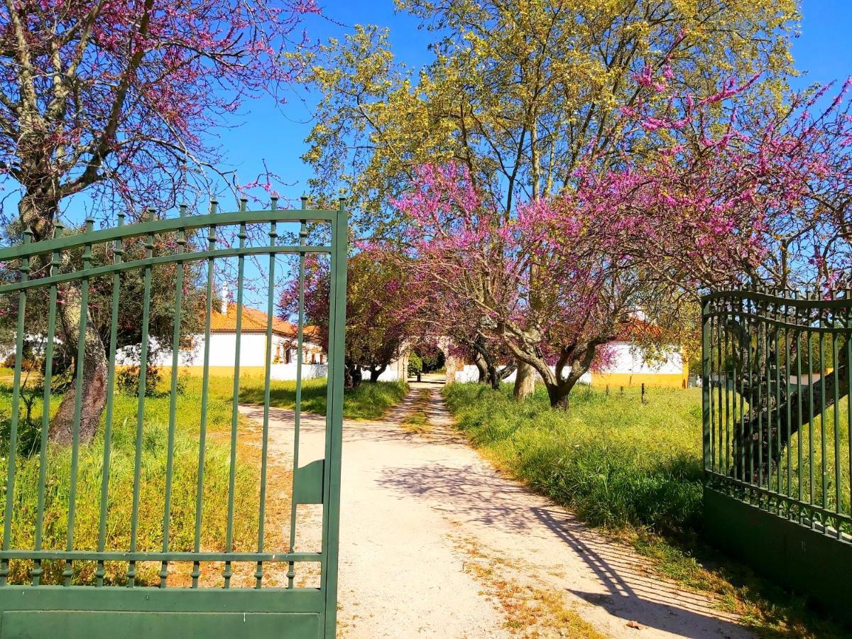 Casas Herdade Do Convento Da Serra Almeirim Extérieur photo