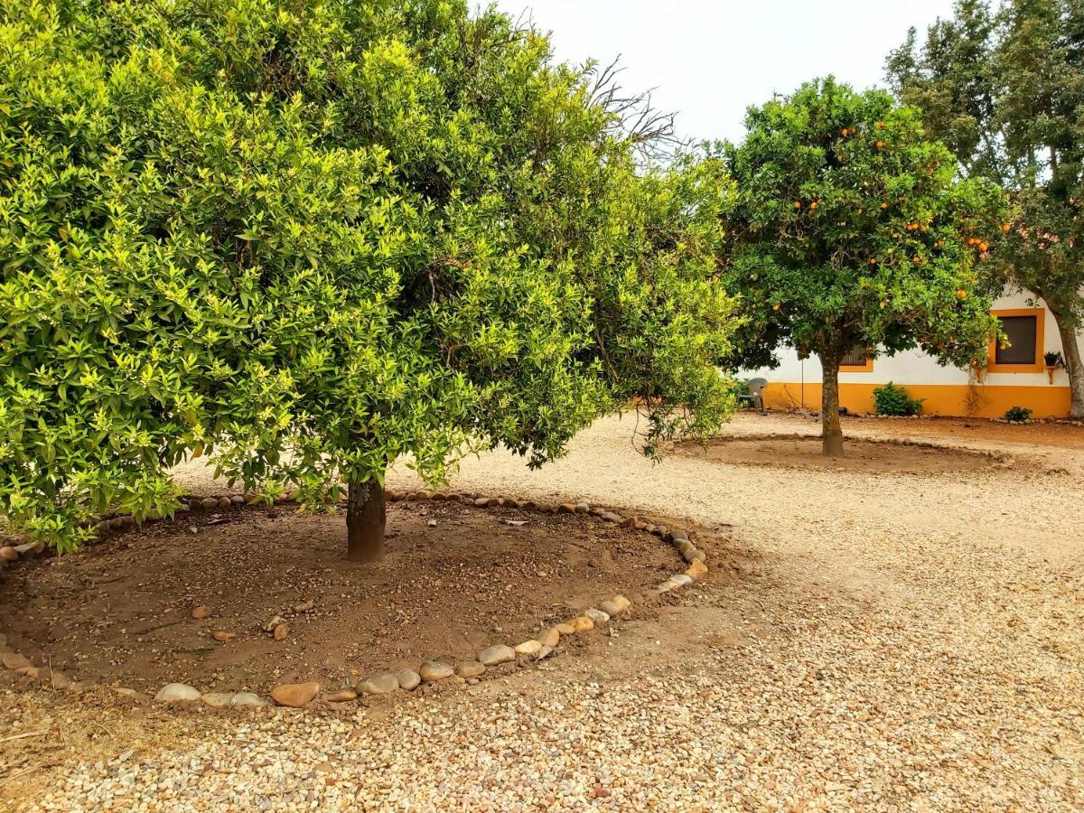 Casas Herdade Do Convento Da Serra Almeirim Extérieur photo