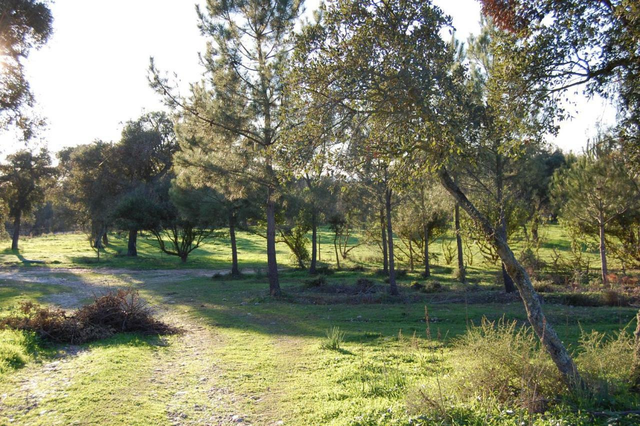 Casas Herdade Do Convento Da Serra Almeirim Extérieur photo