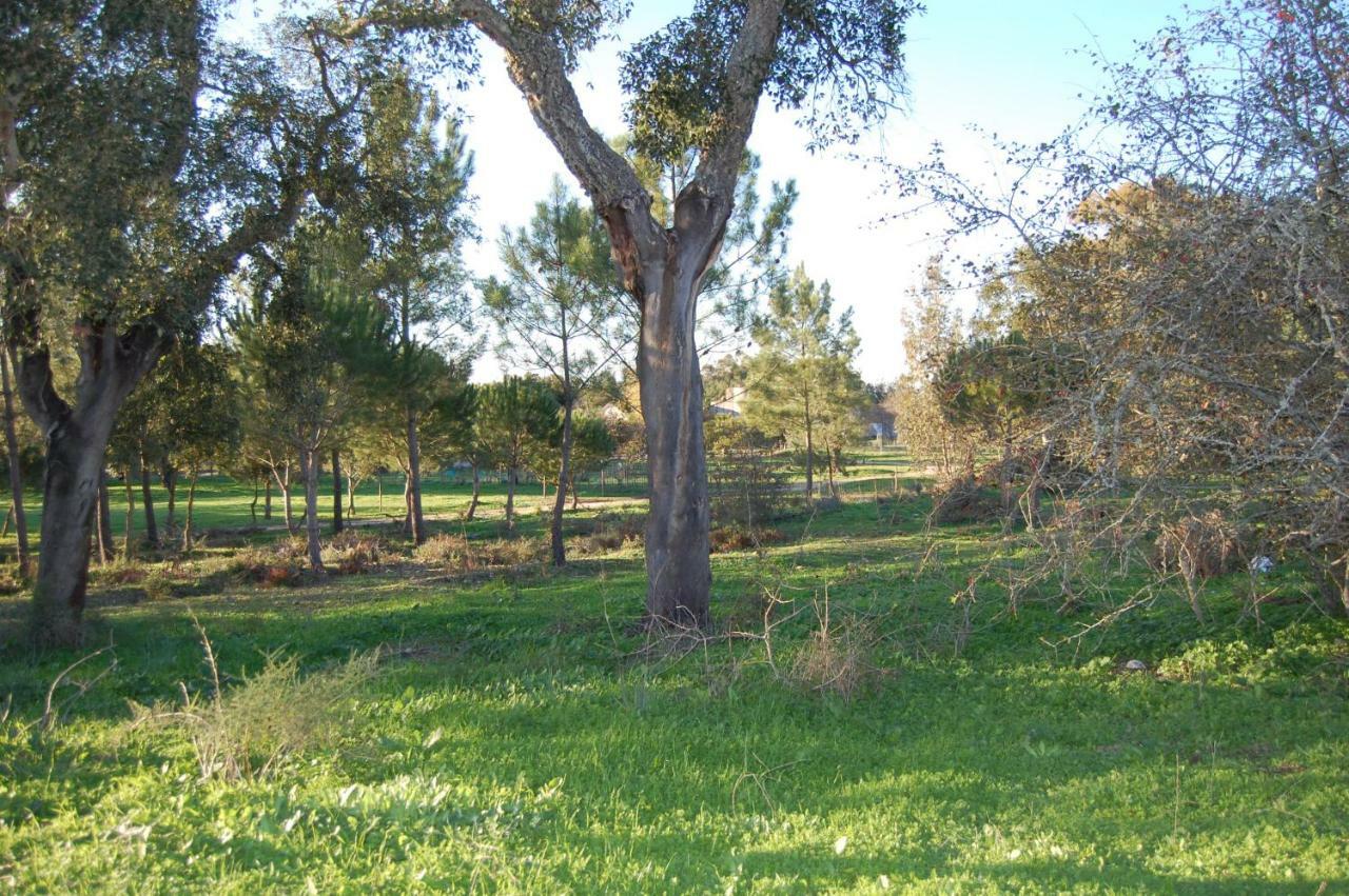 Casas Herdade Do Convento Da Serra Almeirim Extérieur photo